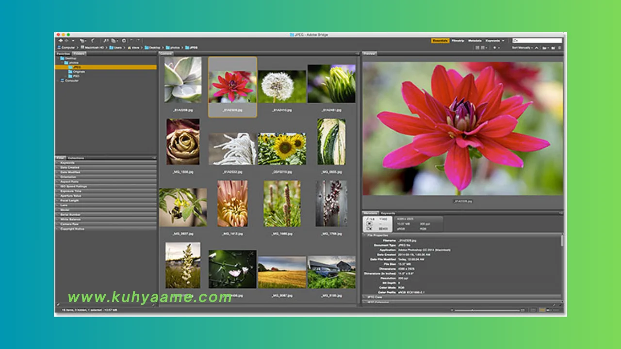 Adobe Bridge CC 2023 latest Download (1)