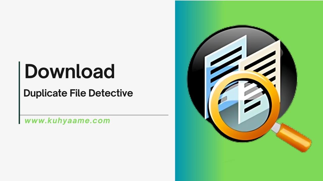 Duplicate File Detective Download