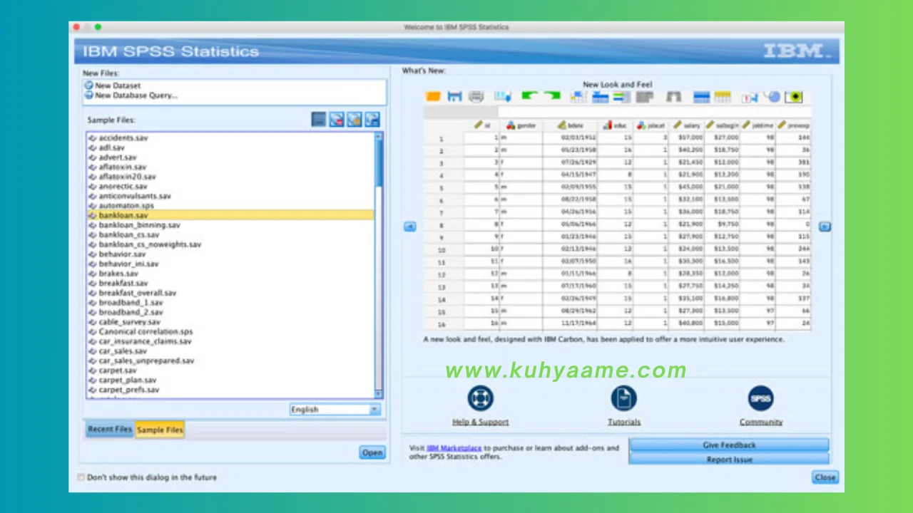 IBM SPSS Statistics latest download 2024