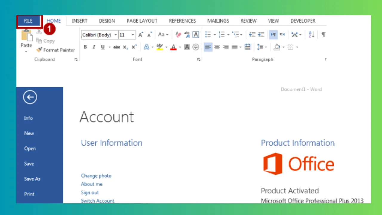 Microsoft Office 2013 SP1 Pro Plus Download 2024