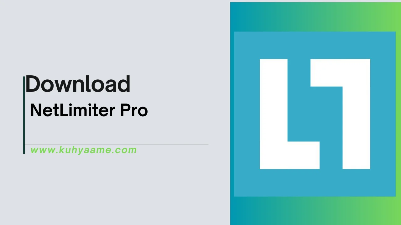 NetLimiter Pro