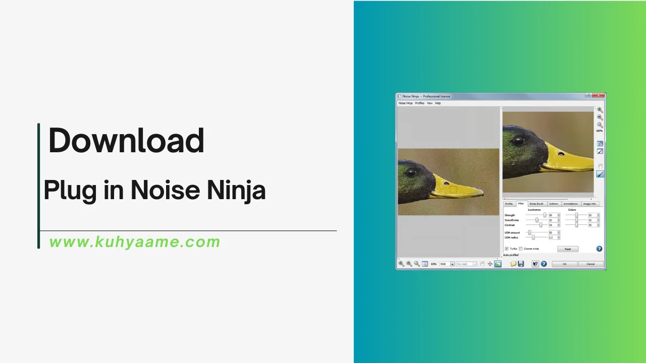 Plug in Noise Ninja Download