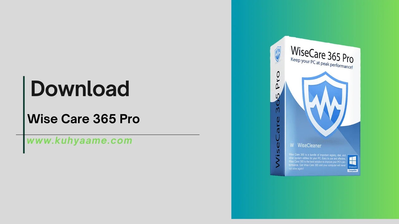 Wise Care 365 Pro Download 2024