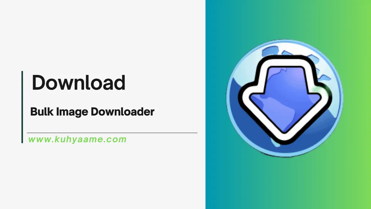 Bulk Image Downloader Download 2024 (2)