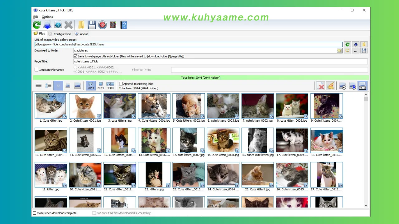 Bulk Image Downloader latest download 2024