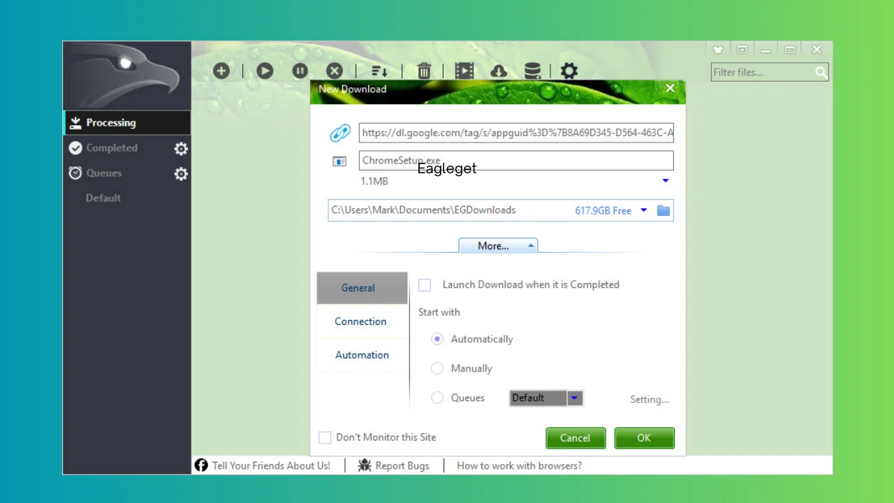 Eagleget