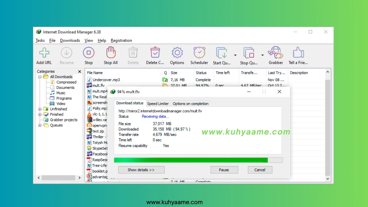 INTERNET DOWNLOAD MANAGER Latest Download 2024