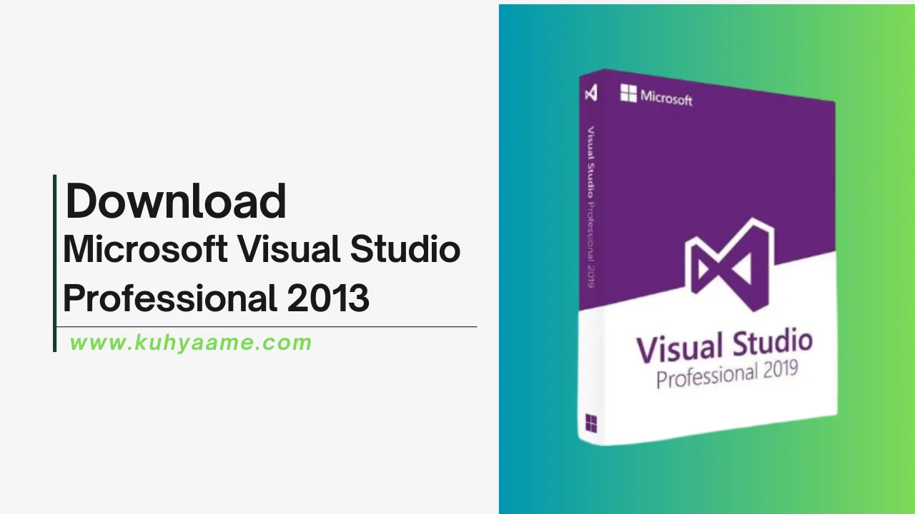 Microsoft Visual Studio Professional 2013