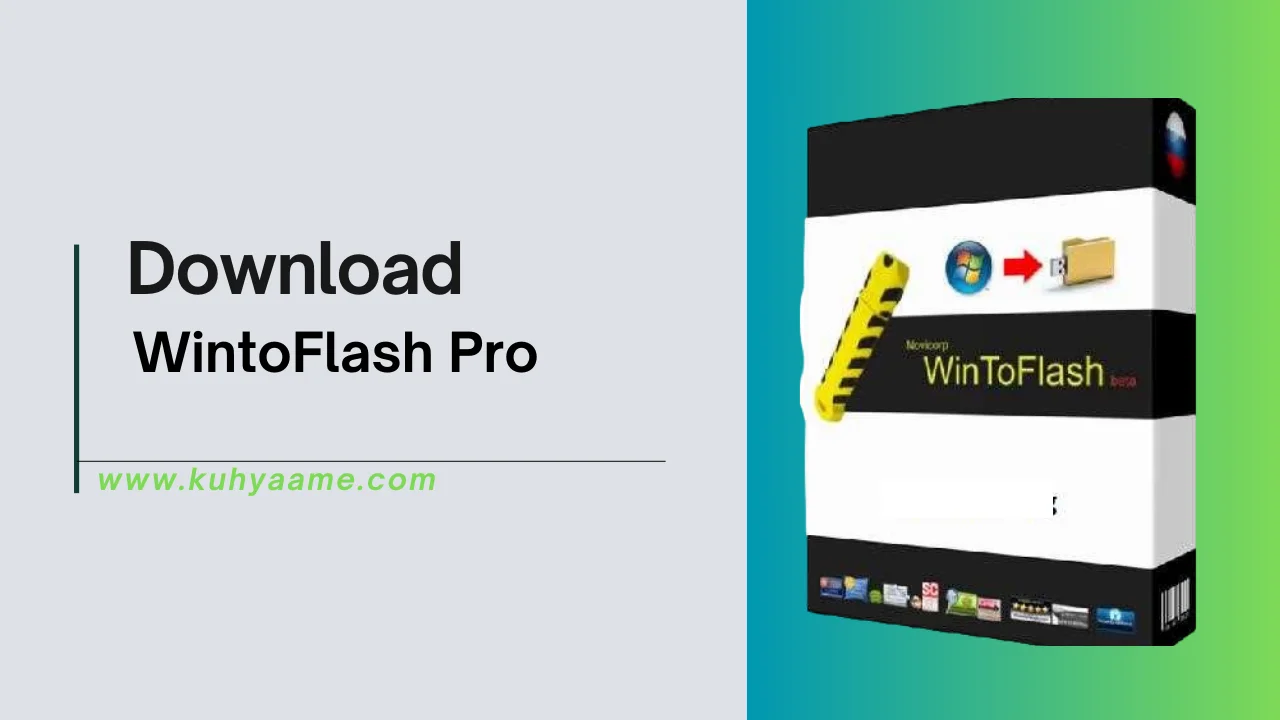WintoFlash Pro