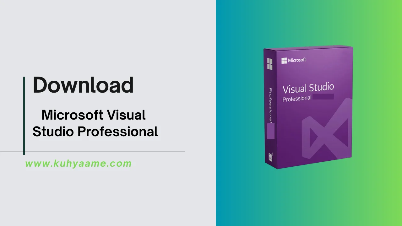 Microsoft Visual Studio Professional Download 2024